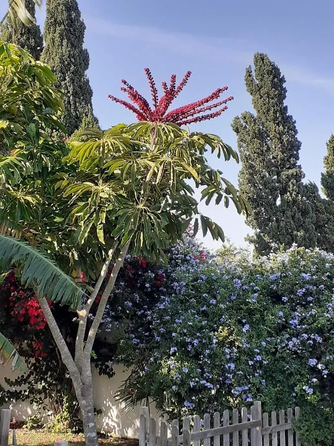 Holiday home Chalet Zorollo Con Piscina Conil De La Frontera